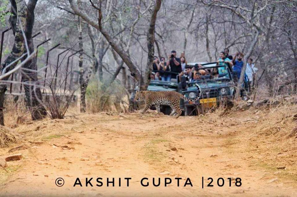 Photo of ट्रैवल में ट्विस्ट: जब ड्राइवर की एक गलती ने हमें पुष्कर की जगह जयपुर पहुँचा दिया! by Saransh Ramavat