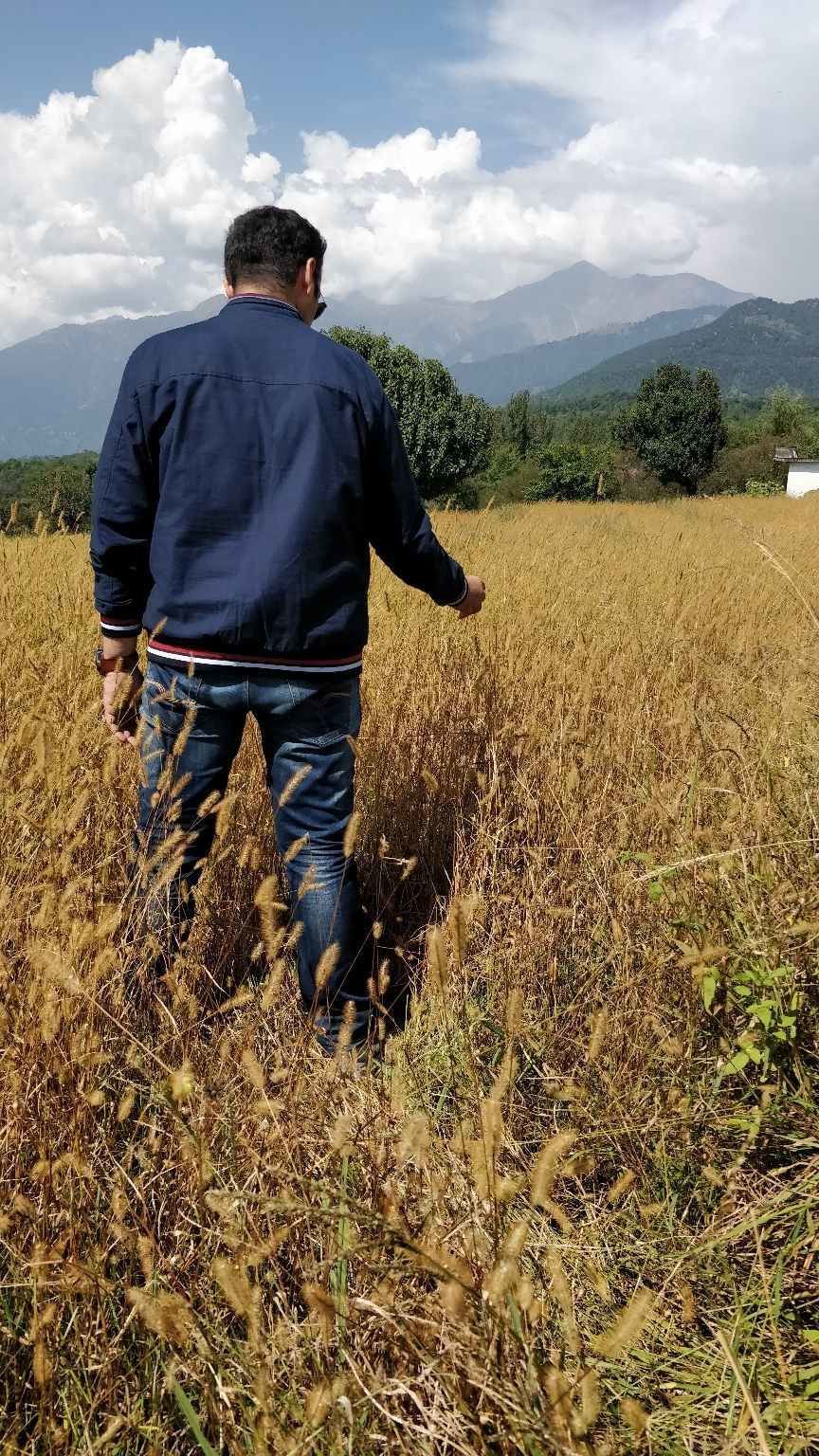 Photo of बीर-बिलिंग: सपनों की उड़ान भरनी है तो यहाँ घूमना का बनाओ प्लान! by Mohit Gosain