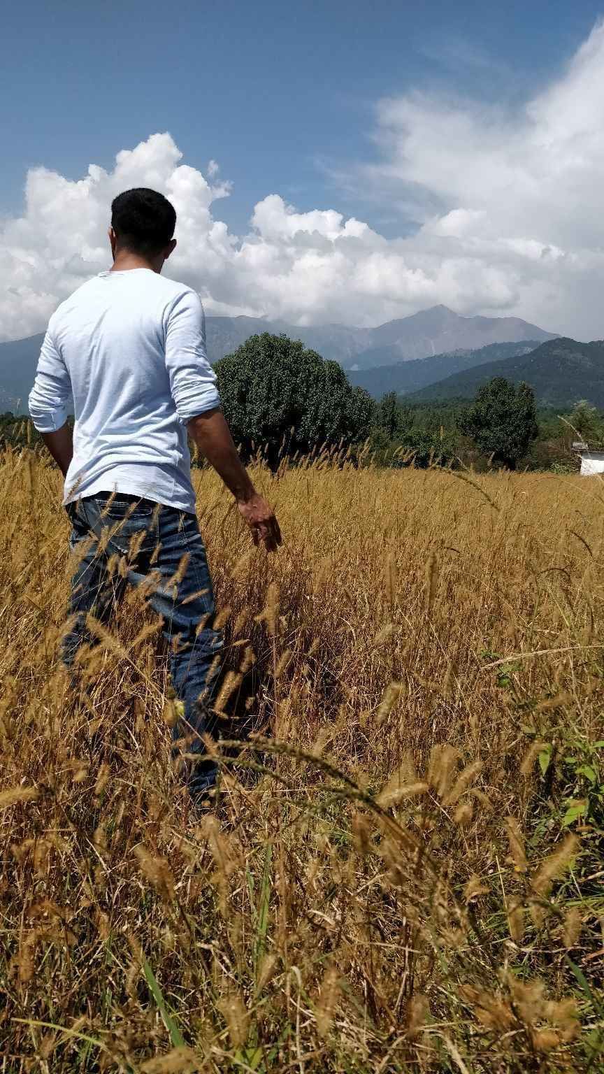 Photo of बीर-बिलिंग: सपनों की उड़ान भरनी है तो यहाँ घूमना का बनाओ प्लान! by Mohit Gosain