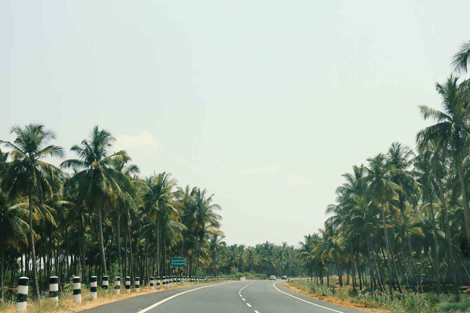 Photo of राजक्कड़ एस्टेट, Tamil Nadu, India by Rupesh Kumar Jha