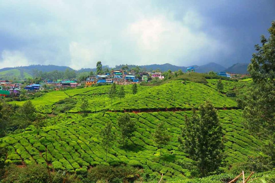 Photo of इडुक्की: नदियों, पहाड़ियों और बागानों से घिरी ये जगह आपका इंतज़ार कर रही है! by Rupesh Kumar Jha