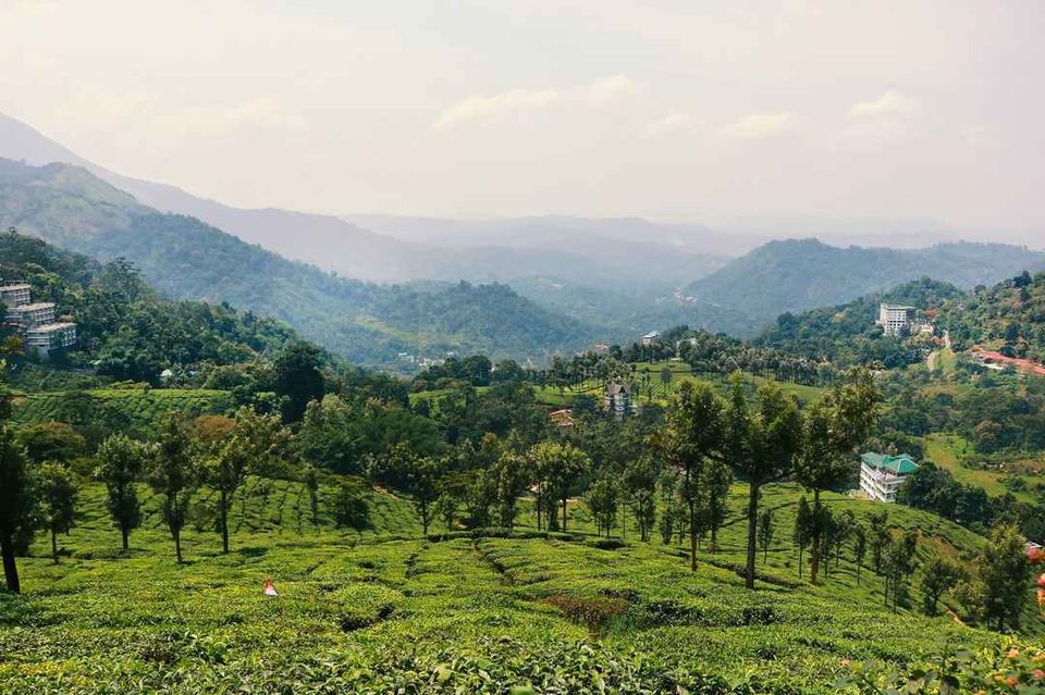 Photo of इडुक्की: नदियों, पहाड़ियों और बागानों से घिरी ये जगह आपका इंतज़ार कर रही है! by Rupesh Kumar Jha
