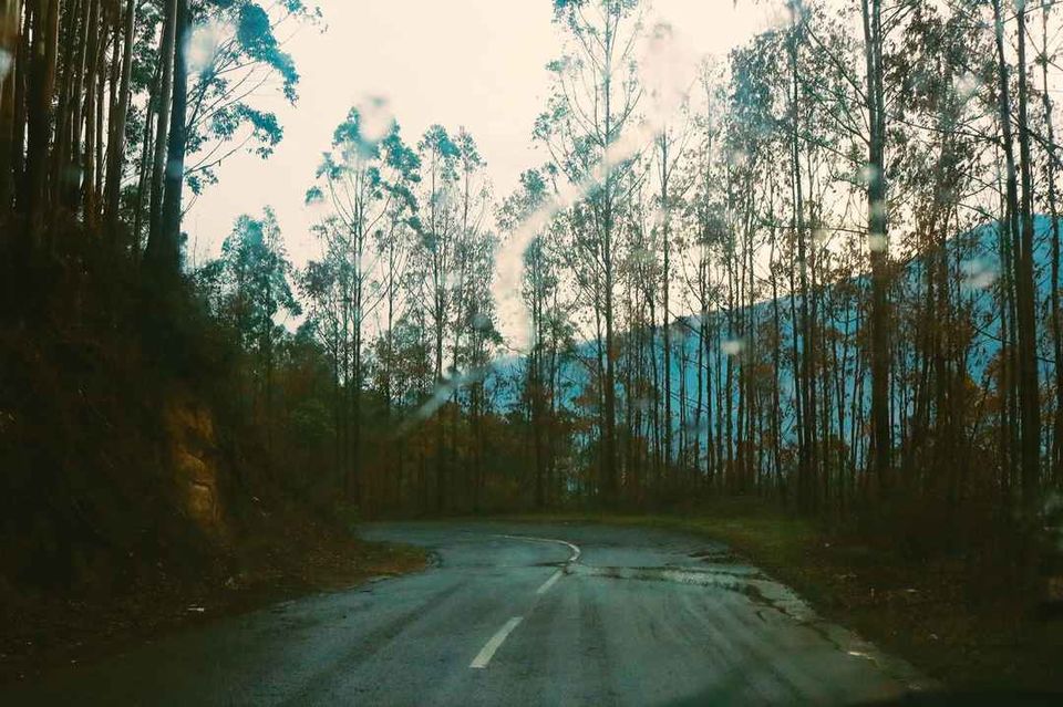 Photo of इडुक्की: नदियों, पहाड़ियों और बागानों से घिरी ये जगह आपका इंतज़ार कर रही है! by Rupesh Kumar Jha
