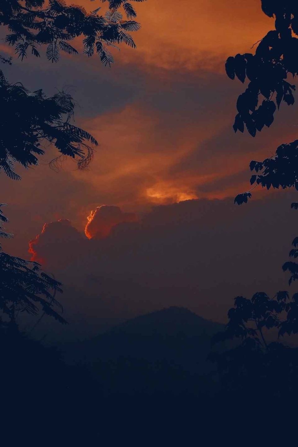 Photo of इडुक्की: नदियों, पहाड़ियों और बागानों से घिरी ये जगह आपका इंतज़ार कर रही है! by Rupesh Kumar Jha