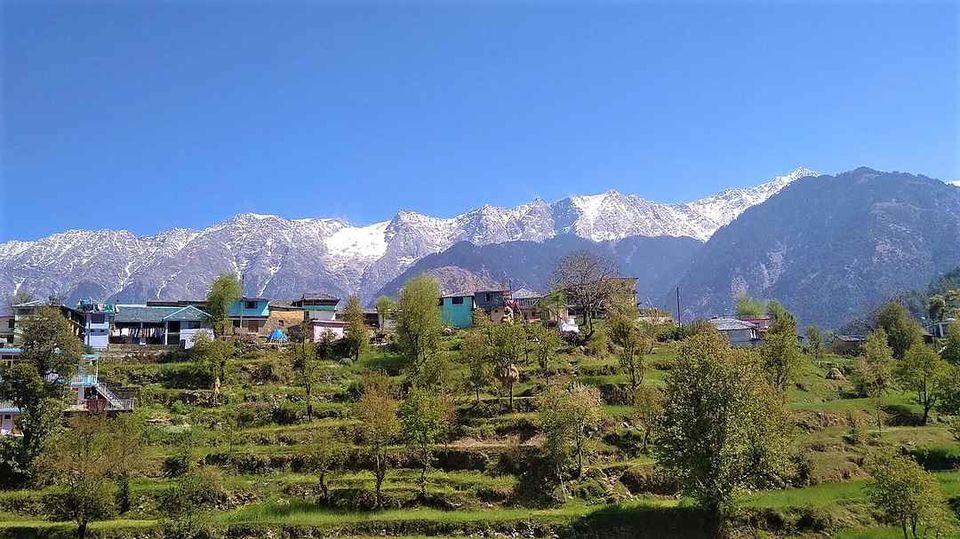 Photo of नड्डी हिल पॉइंट मैक्लोडगंज, Naddi, Dharamshala, Himachal Pradesh, India by Kanj Saurav