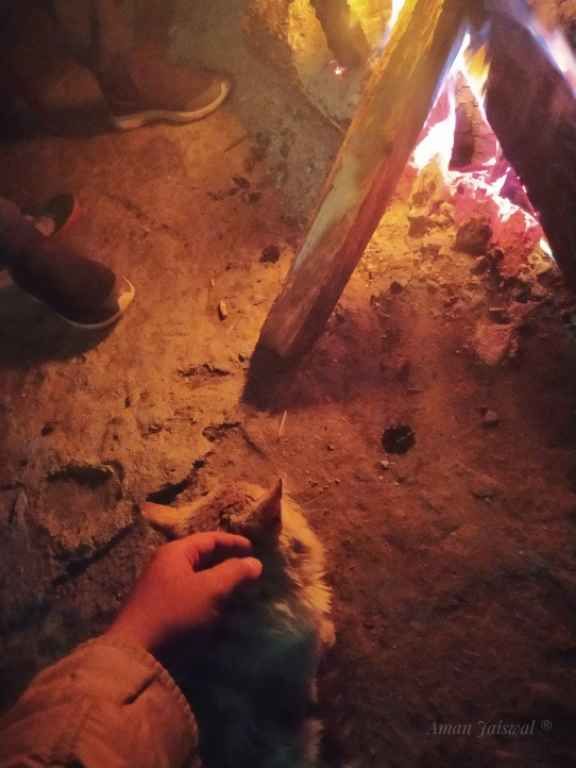 Photo of जमशेदपुर से सिक्किम भाग 2 by Aman Jaiswal