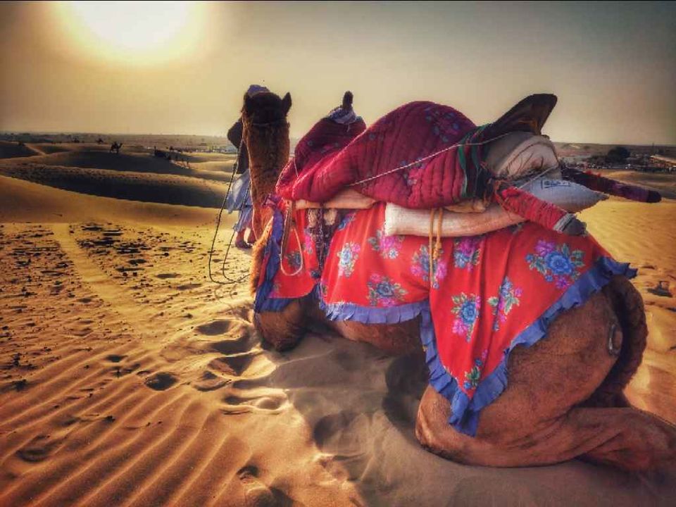 Photo of My trip to Jaisalmer - The desert dairies by Ranju Arya