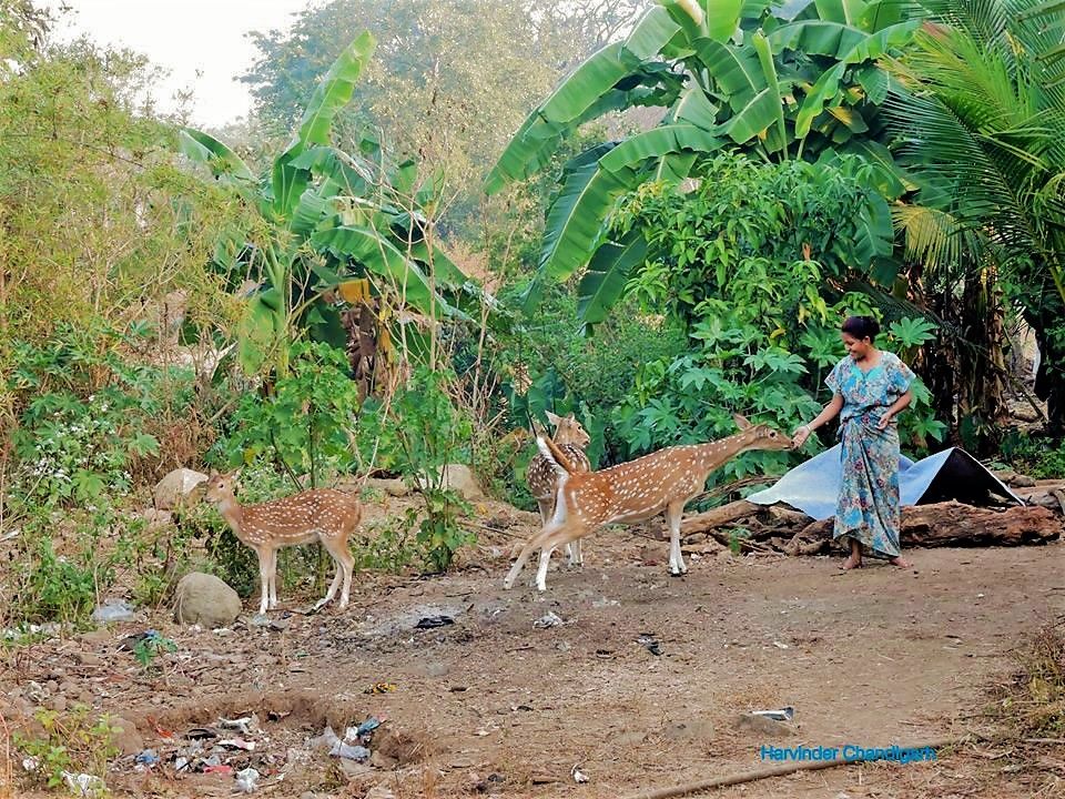 Photo of कम खर्च में मस्ती: मुंबई में घूमने-फिरने की 10 जगह जो जेब पर भी नहीं पड़ेंगी भारी by Bhawna Sati