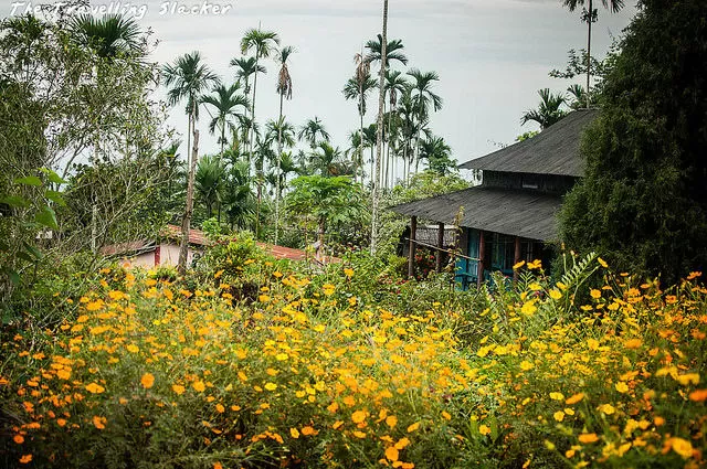 Photo of मव्ल्य्न्नोंग, Meghalaya, India by Bhawna Sati