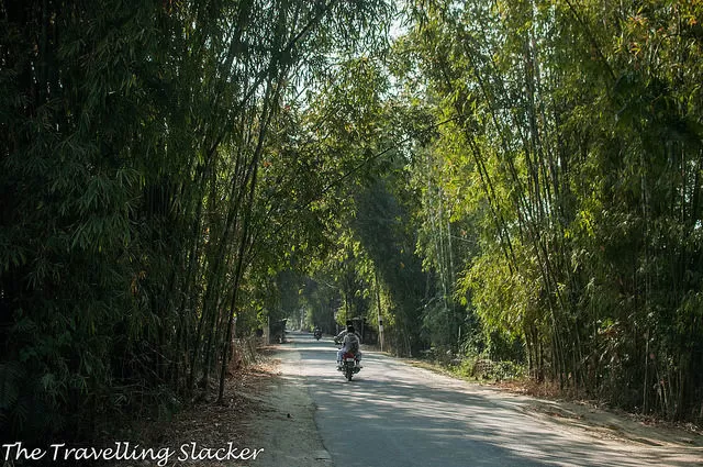 Photo of माजुली, Assam, India by Bhawna Sati