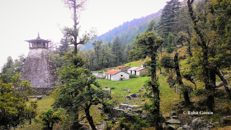 Photo of बिनसर, Uttarakhand, India by Bhawna Sati