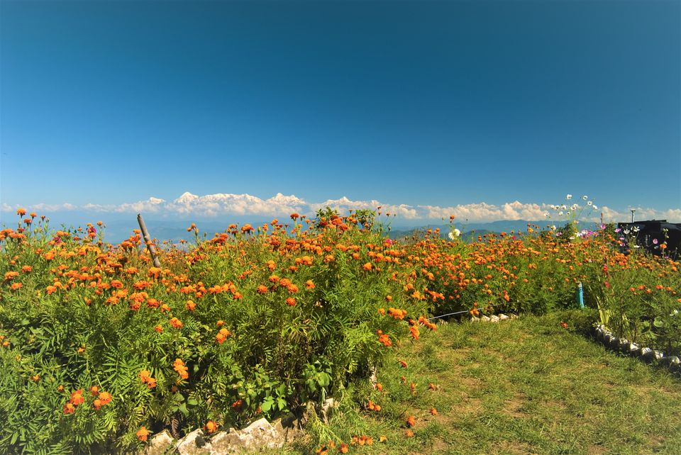 Photo of मुक्तेश्वर, Uttarakhand, India by Bhawna Sati