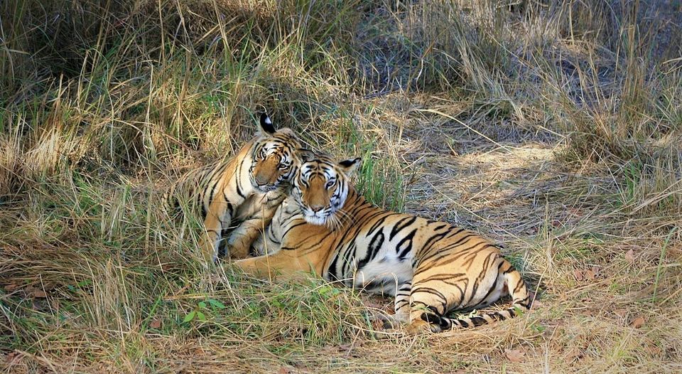 Photo of हिंदुस्तान के दिल का सफर: मध्य प्रदेश में ऐसे बिताएँ शानदार छुट्टियाँ by Bhawna Sati