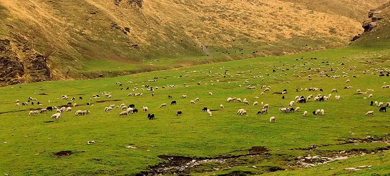 Photo of रोहड़ू, Himachal Pradesh, India by Bhawna Sati