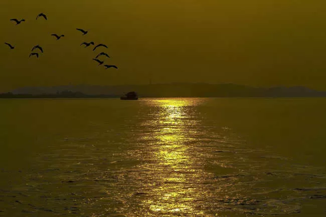 Photo of Dr. सलीम अली बर्ड सैंक्चुअरी, पिट्टी, Pitti Island, India by Bhawna Sati