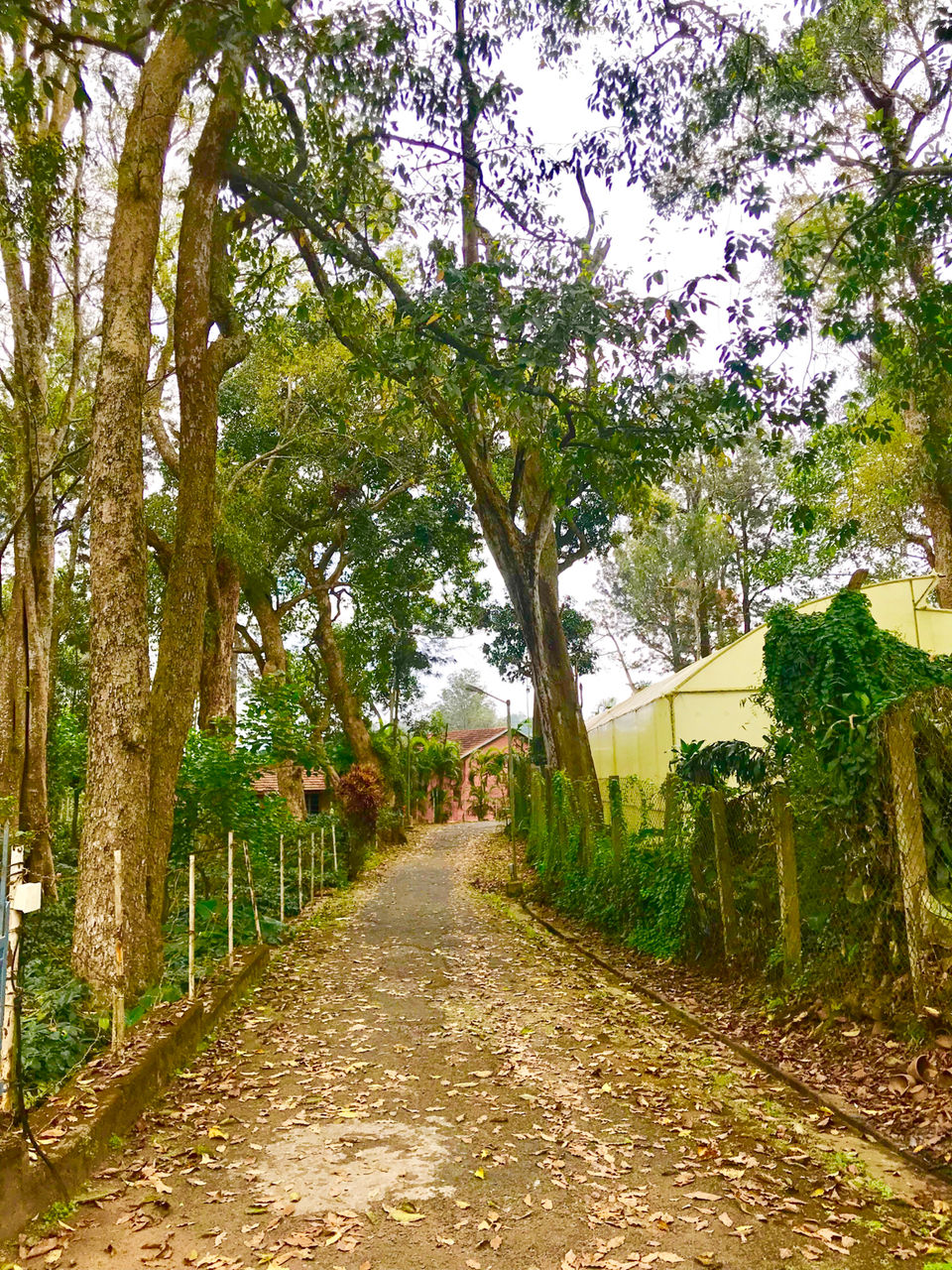 Photo of Yercaud, Tamil Nadu, India by Sheetal Patil