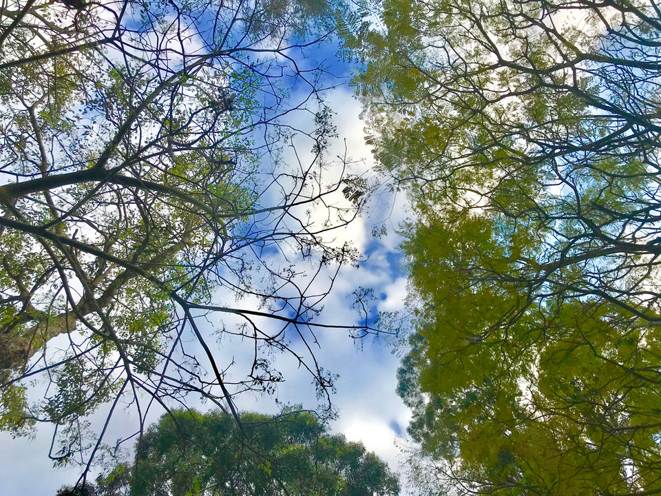 Photo of Yercaud, Tamil Nadu, India by Sheetal Patil