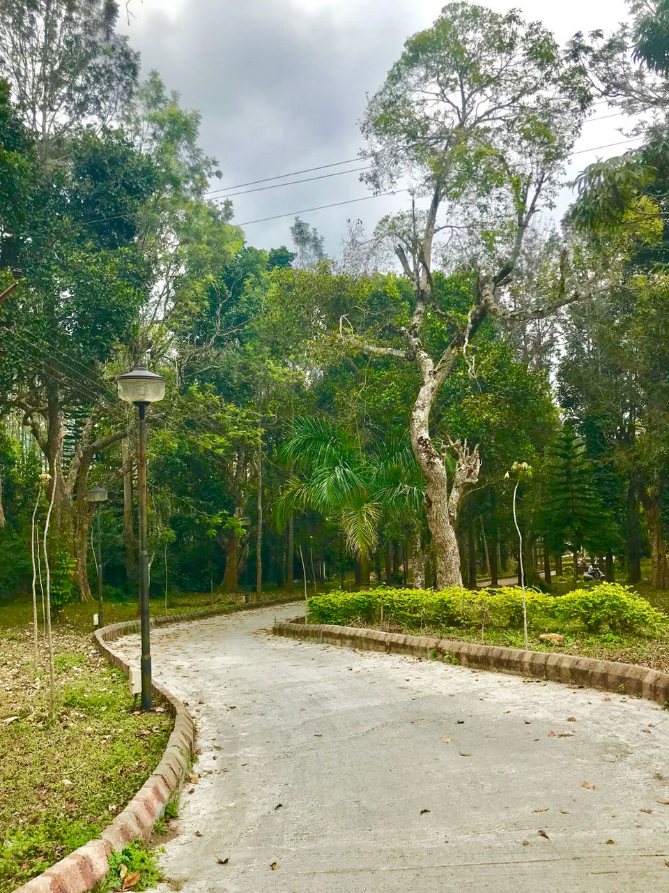 Photo of Yercaud, Tamil Nadu, India by Sheetal Patil