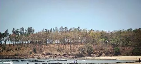 Photo of Kashid, Maharashtra, India by Sheetal Patil