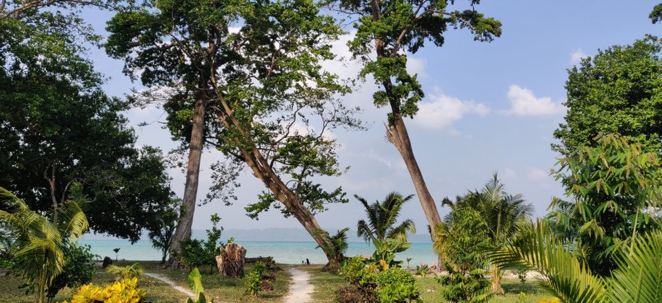 Photo of Havelock Island, Andaman and Nicobar Islands by Anurag Sarolia