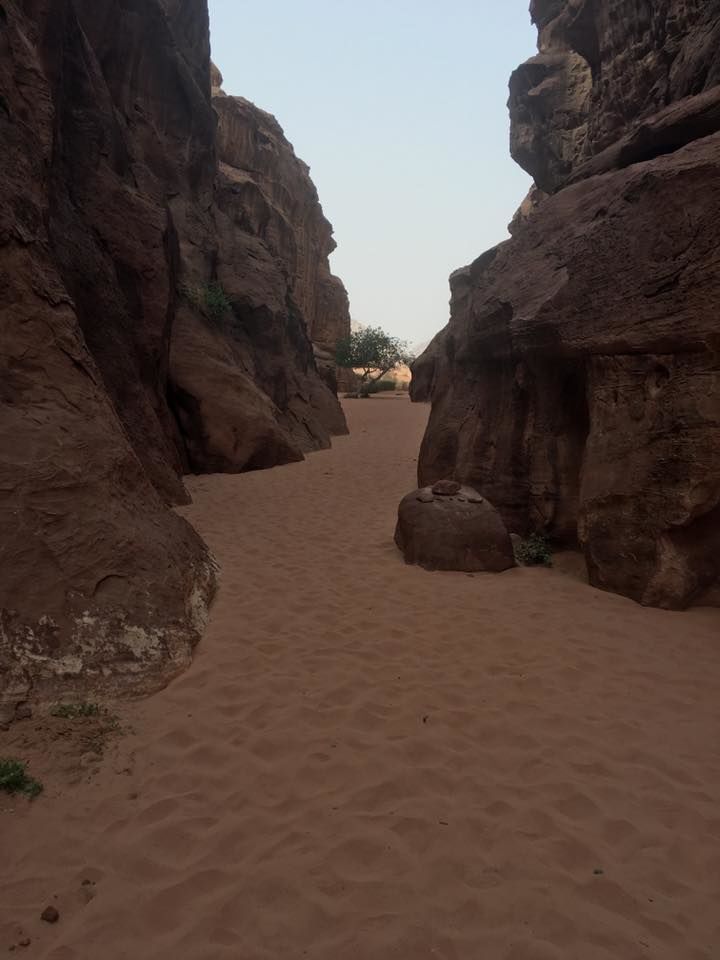Photo of Experiencing Mars Land @ Wadi Rum, Jordan by megha goyal