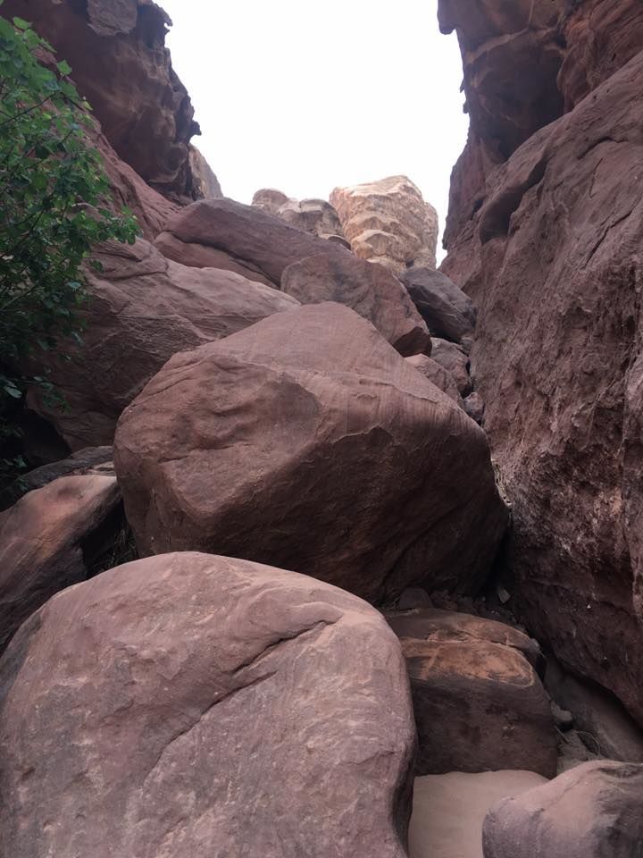 Photo of Experiencing Mars Land @ Wadi Rum, Jordan by megha goyal