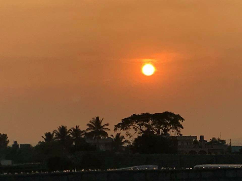 Photo of Big Banyan Tree, Bengaluru, Karnataka, India by Sourav Rout
