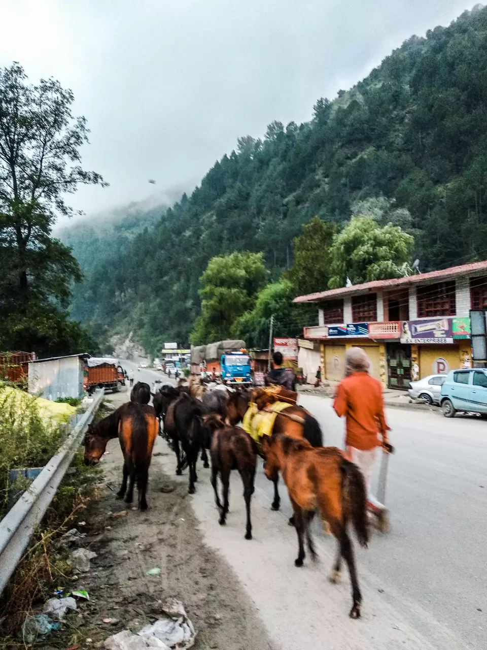 Photo of Here's How I Travelled From Chandigarh To Manali For Free! by Escapeteddy