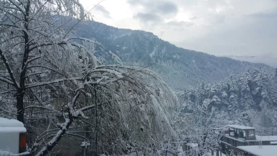 Photo of Old Manali, Manali, Himachal Pradesh, India by Gypsy Soul