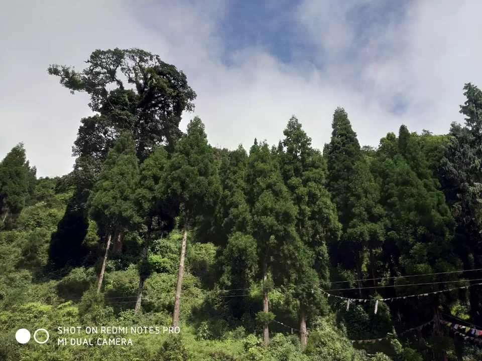 Photo of Sillery Gaon, West Bengal, India by SanchAri Chakraborty