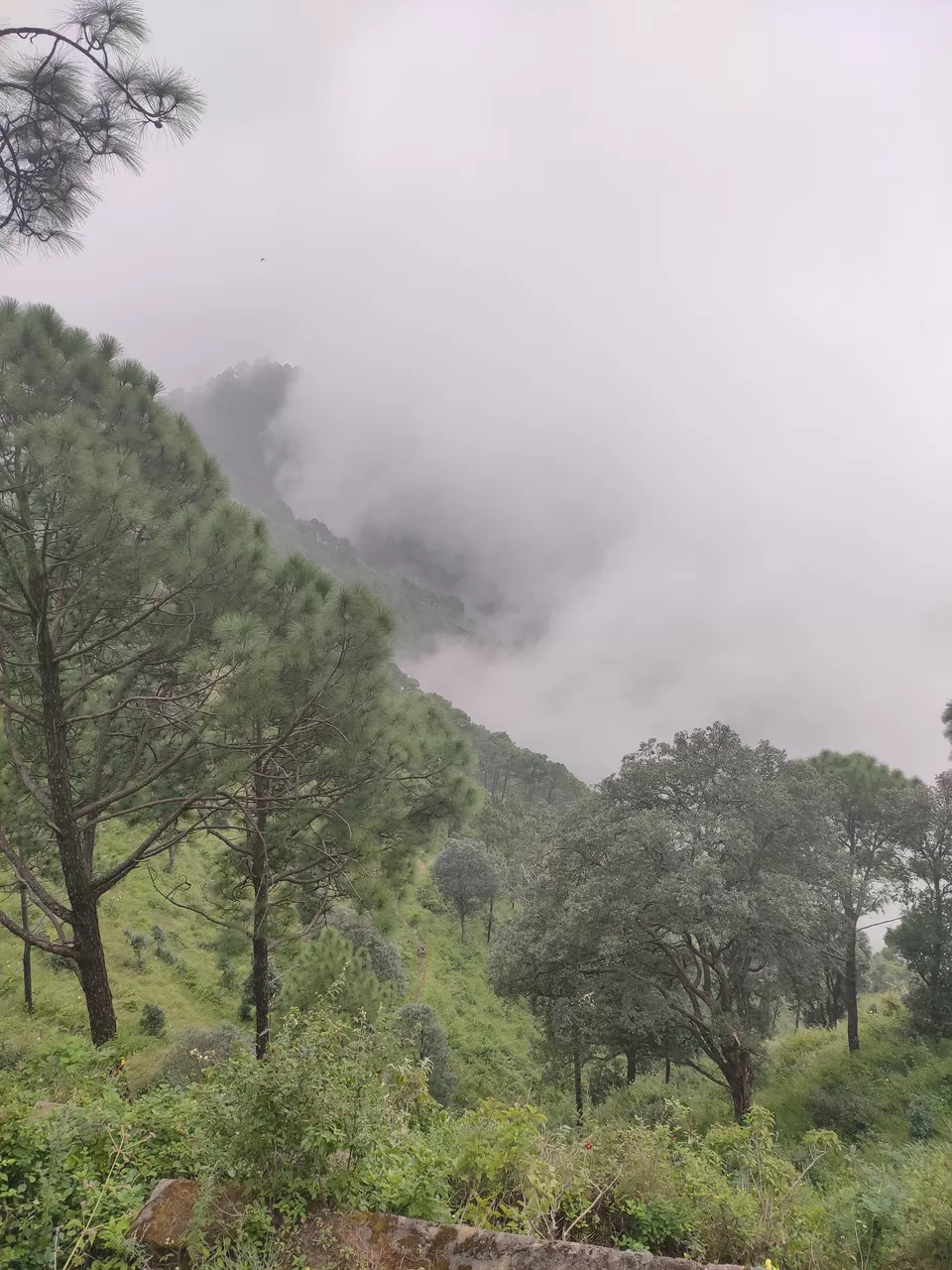 Photo of Mall Road, Kasauli, Himachal Pradesh, India by Ravi Singh Thakur