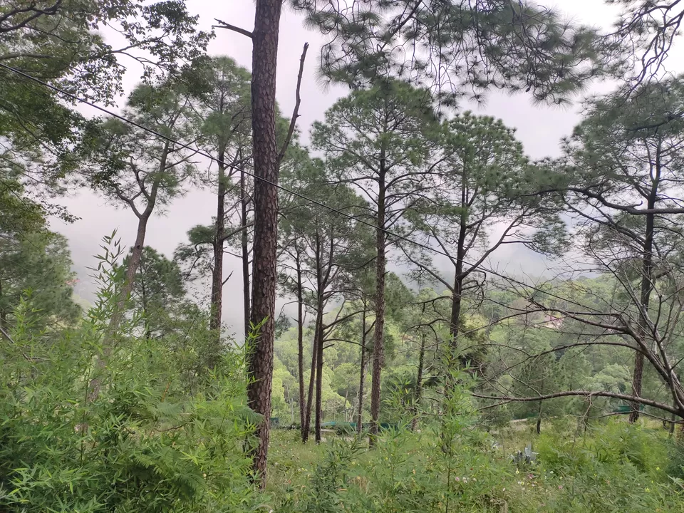 Photo of Mall Road, Kasauli, Himachal Pradesh, India by Ravi Singh Thakur