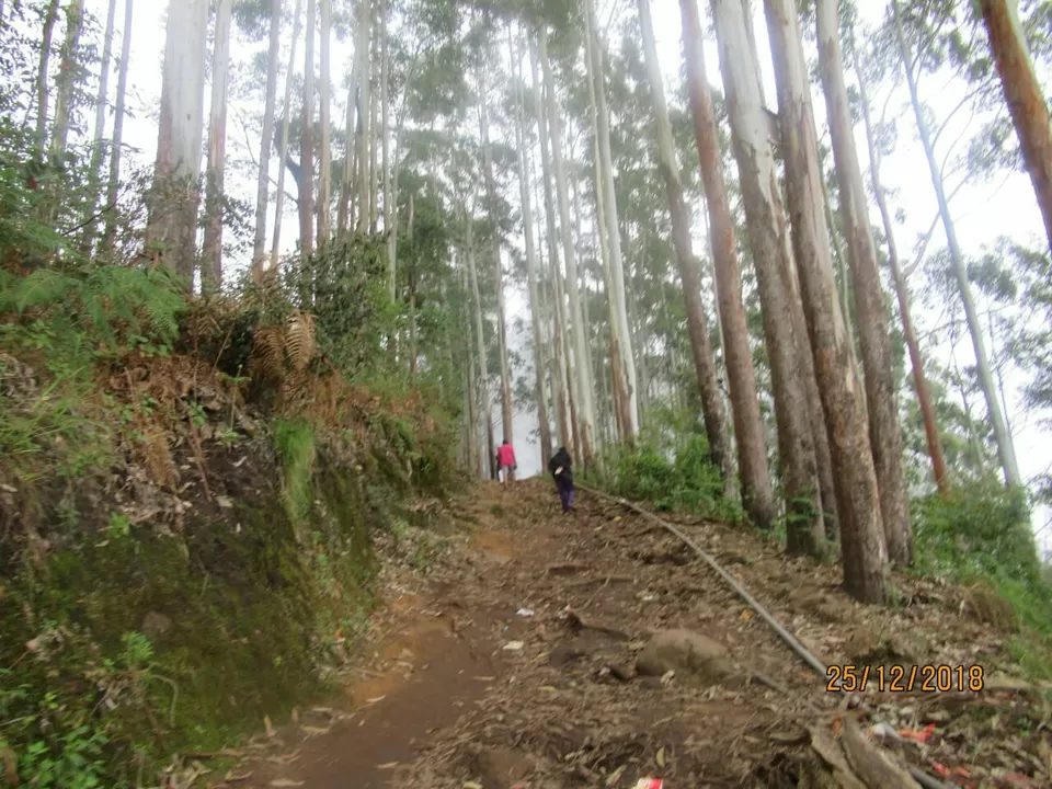 Photo of Dolphin Nose Vattakanal, Vattakanal, Kodaikanal, Tamil Nadu, India by Priyanka