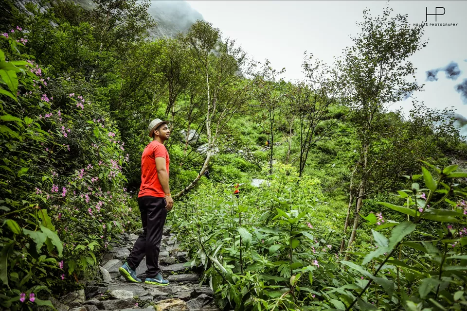 Photo of Amazingly beautiful valley of flowers! by sandeep holla