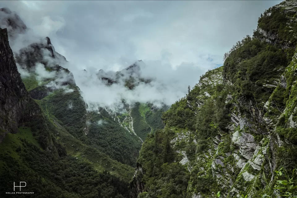Photo of Amazingly beautiful valley of flowers! by sandeep holla