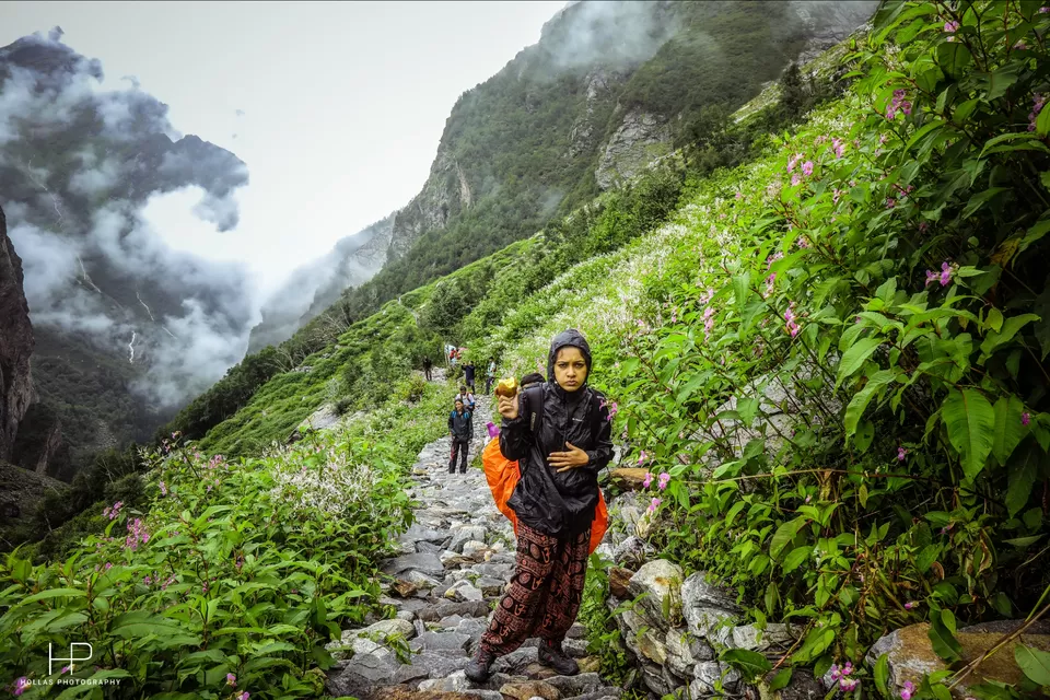 Photo of Amazingly beautiful valley of flowers! by sandeep holla