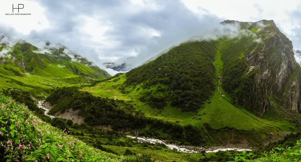 Photo of Amazingly beautiful valley of flowers! by sandeep holla