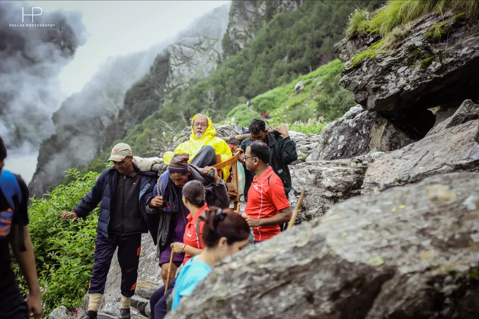 Photo of Amazingly beautiful valley of flowers! by sandeep holla