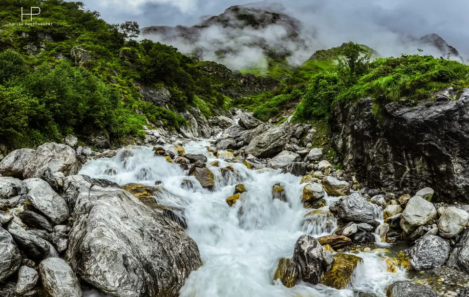 Photo of Amazingly beautiful valley of flowers! by sandeep holla