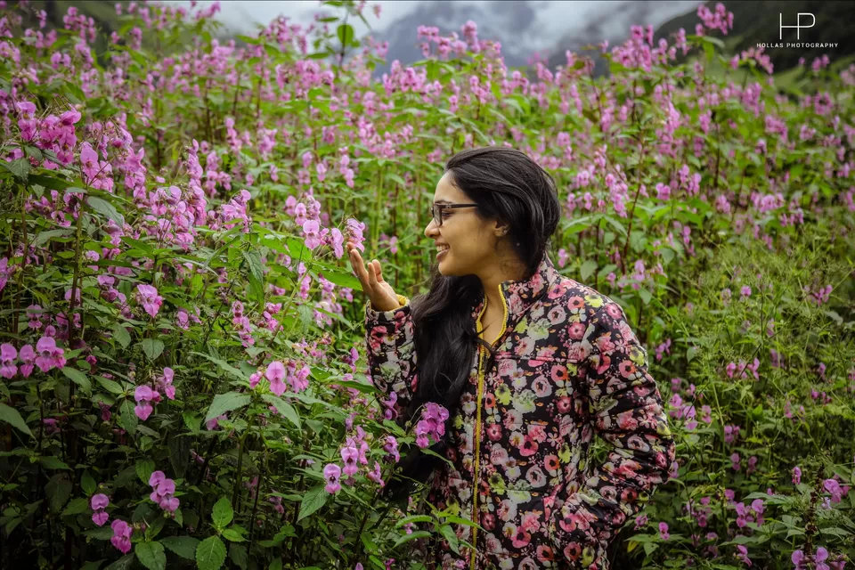 Photo of Amazingly beautiful valley of flowers! by sandeep holla