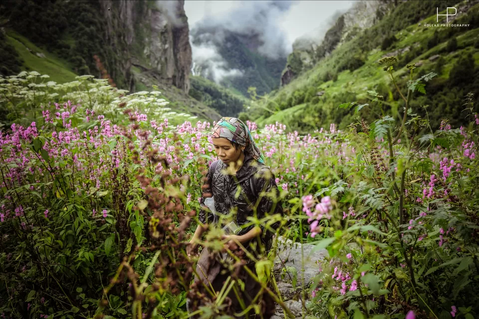 Photo of Amazingly beautiful valley of flowers! by sandeep holla