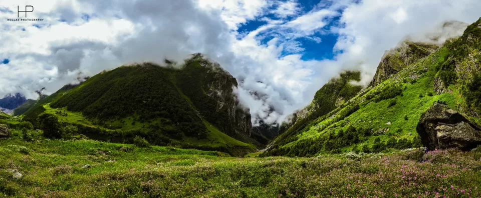 Photo of Amazingly beautiful valley of flowers! by sandeep holla