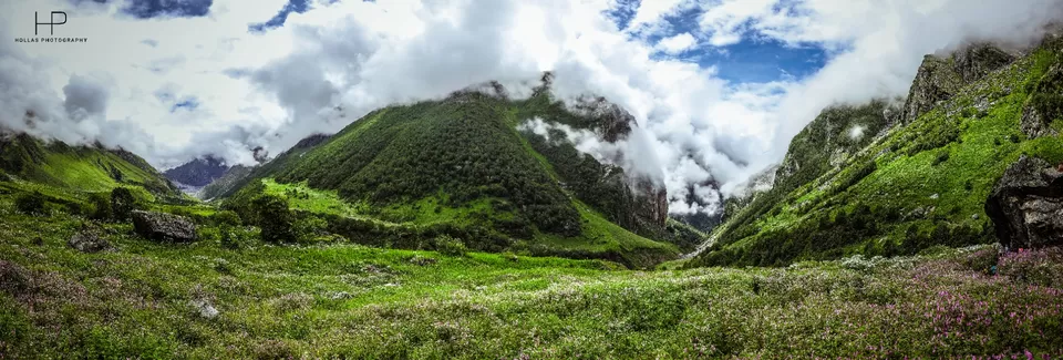 Photo of Amazingly beautiful valley of flowers! by sandeep holla