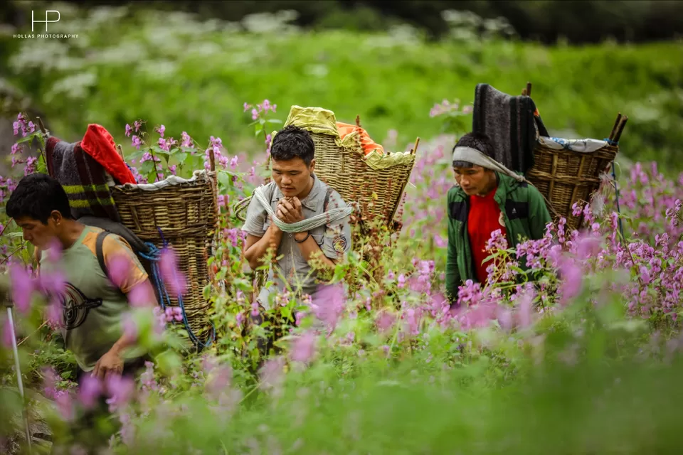 Photo of Amazingly beautiful valley of flowers! by sandeep holla