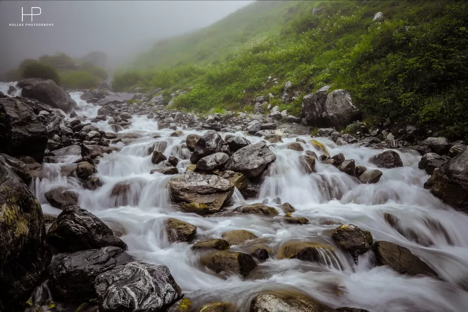 Photo of Amazingly beautiful valley of flowers! by sandeep holla