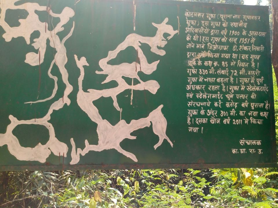 Photo of Explore Kanger by sanjay deshmukh