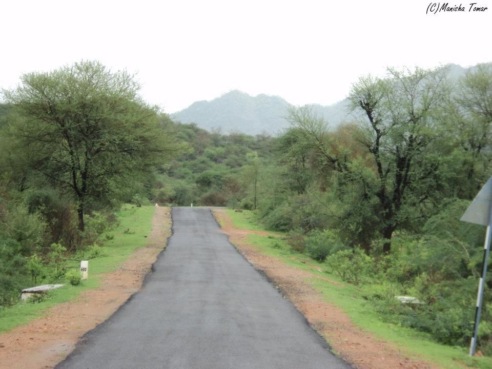 Photo of Rajasthan always more than desert and sand :) 1/11 by Manisha Tomar