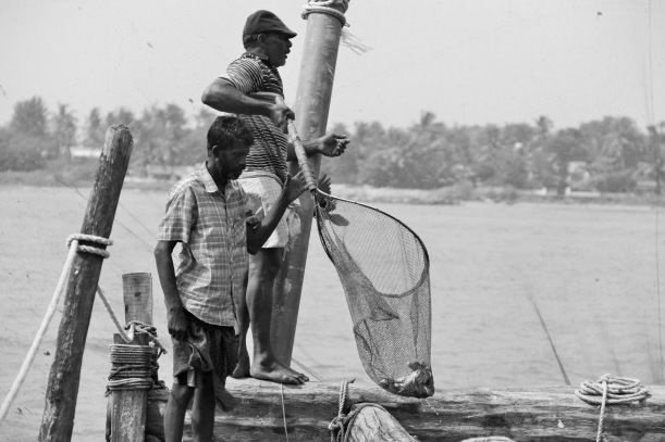 Photo of Chinese Net Fishing and Other Kochi Things 4/9 by Four Blissful Feet