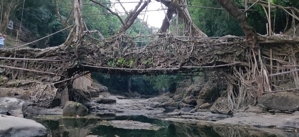 Photo of A TRIP TO REMEMBER - MEGHALAYA by Mrunmayi S R