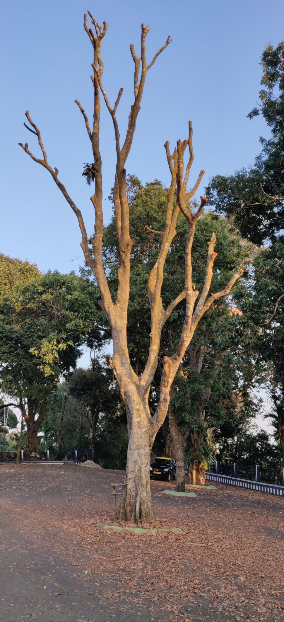 Photo of A TRIP TO REMEMBER - MEGHALAYA by Mrunmayi S R